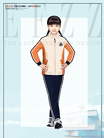 秋冬拉鏈衛衣定制校服印logo企業學校運動會團體服