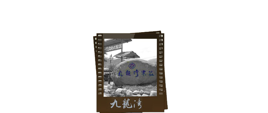 九龍灣休閑度假村員工服裝成功設計方案