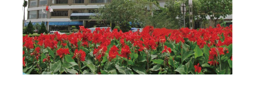 銀海酒店員工制服設(shè)計(jì)成功案例