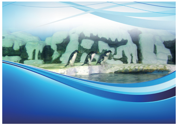 大連老虎灘極地館，員工服裝設(shè)計(jì)方案