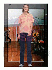 女裝T恤衫圖片018